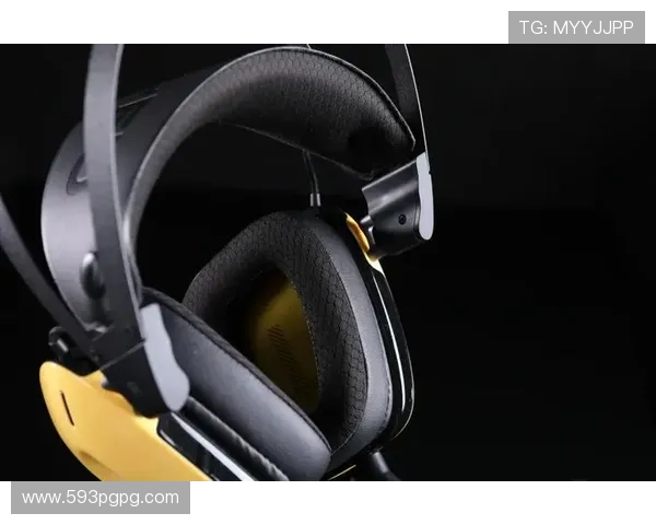 纯视频直播：开启无干扰沉浸式视听新体验